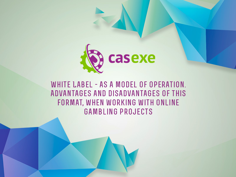 CASEXE summarized the results of its White Label webinar