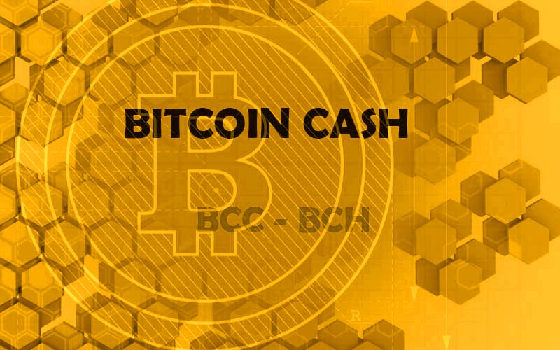 The Block Size Of Bitcoin Cash May Increase Again Tallin!   n - 